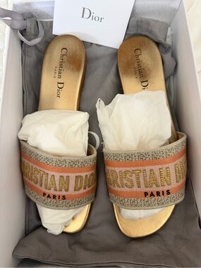Dior Embroidered Slide Sandals in Gold and Pink Stripe